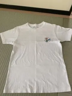 ポケモンUT 【140cm】