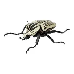 いきもの大図鑑 かぶとむし 05 ゴライアスオリエンタリス レア ガチャ ②