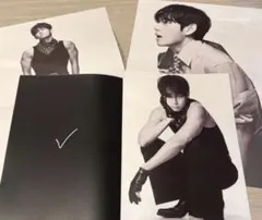 BTS ARIRANG Living Legend V テテ ポスター