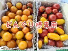 専用です　ミニトマトのサムネイル