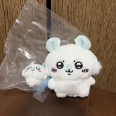 モモンガ　まとめ売り