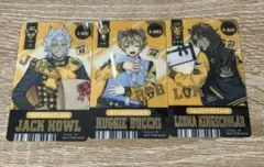 ツイステ　5周年　アニメイト　チケット風しおり　サバナクロー