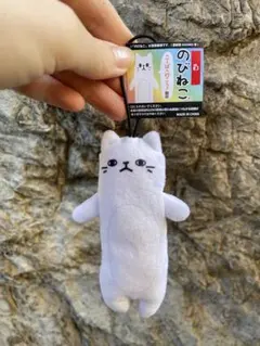 Item thumbnail for item f20dd80b-8c8e-4fd7-960c-1c76ffe35cd6