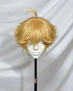 あんず様専用 オーダーウィッグ 仮装 dハロ コスプレ - メルカリ