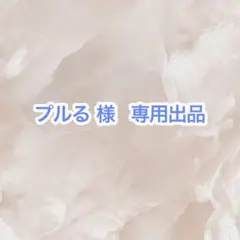 専用出品