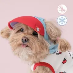 韓国 BITE ME ハローキティ コラボ ペット用服 Sサイズ - メルカリ