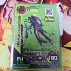 2026年最新】デリカトゥスマルバネクワガタの人気アイテム - メルカリ