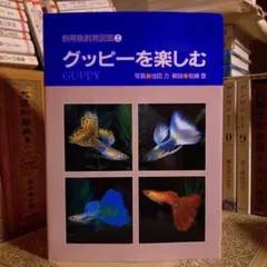 ★うけう グッピーを楽しむ 熱帯魚飼育図鑑2 / 池田力 岩崎登 / マリン企画のサムネイル