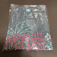 Item thumbnail for item 6a372d00-0e62-490e-b71f-67cdb1106eb9