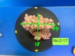 人工ライブロック BG18 25×25×25 アク抜き済み安心塗料使用 - メルカリ