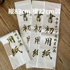 Item thumbnail for item 0ceffc65-2dba-4875-a869-2eca46f10c0d