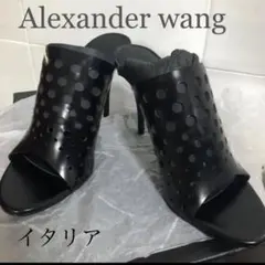 【Alexander wang】パンチングサンダル　37 2/1 海外ハイセンス