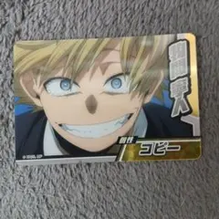 僕のヒーローアカデミア 物間寧人 ヒーローズチップカード 僕のヒーローアカデミア 物間寧人 ヒーローズチップカード 僕の