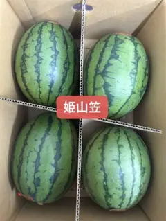 産地直送 熊本植木町スイカ【1玉入り】7kg - メルカリ