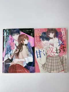 野いちごケータイ小説文庫