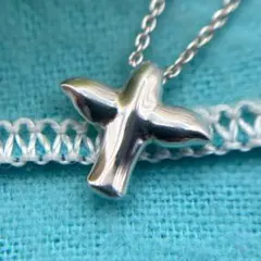 TIFFANY&Co.【鑑定済・極美品】バードクロスネックレス　925 シルバー
