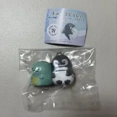 すみっコぐらしと神戸須磨シーワールドのいきものたち マゼランペンギンととかげ