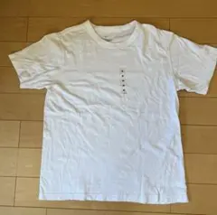 Item thumbnail for item 8d05657d-9c62-49c6-90cd-997678602d13