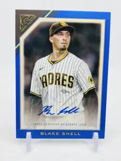 dihondahideki様 リクエスト 10点 まとめ商品