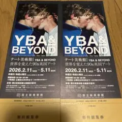 【2枚】テート美術館 YBA & BEYOND展 入場券 国立新美術館のサムネイル