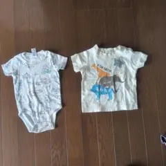 Item thumbnail for item 1eb26079-269e-40a2-85ff-b5b5f03f6aa0