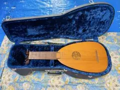 Aria門野巌L85⭐︎透かし彫りリュート 弦楽器 美品⭐︎ハードケース付き⭐︎ Aria門野巌L85⭐︎透かし彫りリュート 弦楽器 美品⭐︎ハードケース