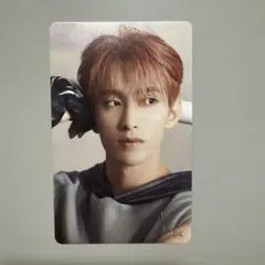 seventeenドギョム fml 特典