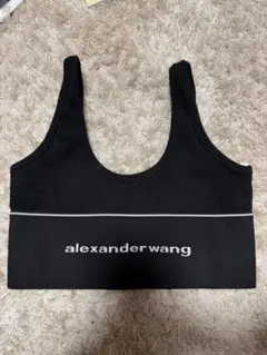2026年最新】alexanderwang ブラトップ mの人気アイテム - メルカリ