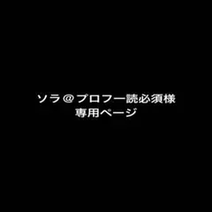 ソラ@プロフ一読必須様専用のサムネイル