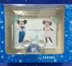 ディズニー　実写　旧フェイス　フォトスタンド　25周年