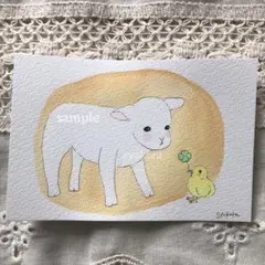 原画　水彩画　ひつじ　ひよこ　クローバー　ポストカード　アナログイラスト　特厚口