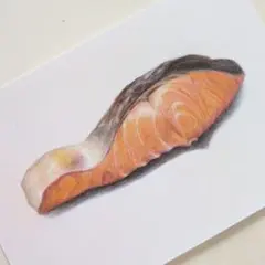 焼き鮭の色鉛筆画
