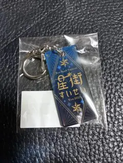 ホロライブ　星街すいせい　阿蘇ロック　コラボアクリルキーホルダー