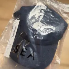 Item thumbnail for item a8fce8d2-c97f-4117-aaaf-c9182201e60f