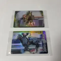 2025年最新】ビワハヤヒデ カードの人気アイテム - メルカリ