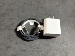 Apple 純正品 20Wアダプター Type-Cケーブルブラック