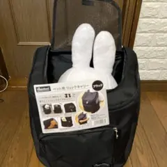 Item thumbnail for item 85fa237f-3440-4374-b98d-e6a84becdd9a