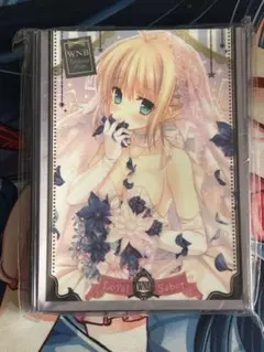 Fate/stay night セイバー スリーブ 1個 未開封品 - メルカリ