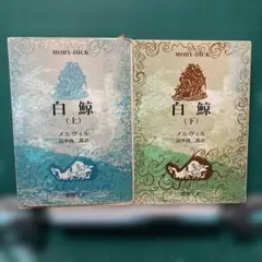 Item thumbnail for item 73b72e34-fbcd-4f5b-8268-8947f9495b90