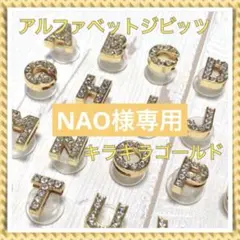 Nao様専用