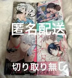 新刊BLコミック まとめ売り　4冊セット