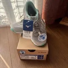 Mizuno Maximizer 25 WIDE マキシマイザー25 23センチ