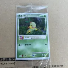 2026年最新】ナエトル 001/PPPの人気アイテム - メルカリ