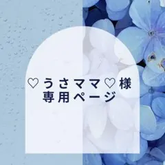 【ゆめかわヘアアクセサリー♡うさママ♡様】専用ページ