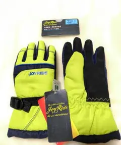 Item thumbnail for item b49b1b93-0a72-44c4-9521-e9cb2b76d15e