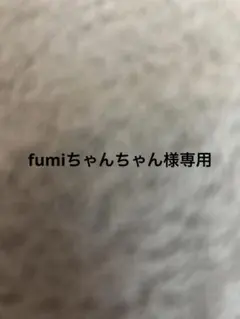 fumiちゃんちゃん様 リクエスト 3点 まとめ商品