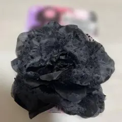 Item thumbnail for item d48ddcf0-d1aa-4863-9899-2d265ed3b3b8