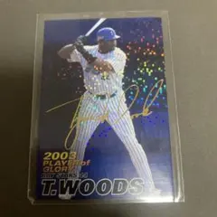 タイロン・ウッズ　直筆サイン　ヘルメット 2025年最新】タイロン・ウッズの人気アイテム - メルカリ