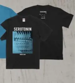 2026年最新】シンガーズハイ tシャツの人気アイテム - メルカリ