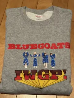 Item thumbnail for item a0fc3551-32e1-4896-80f7-5f72bc5d81f3